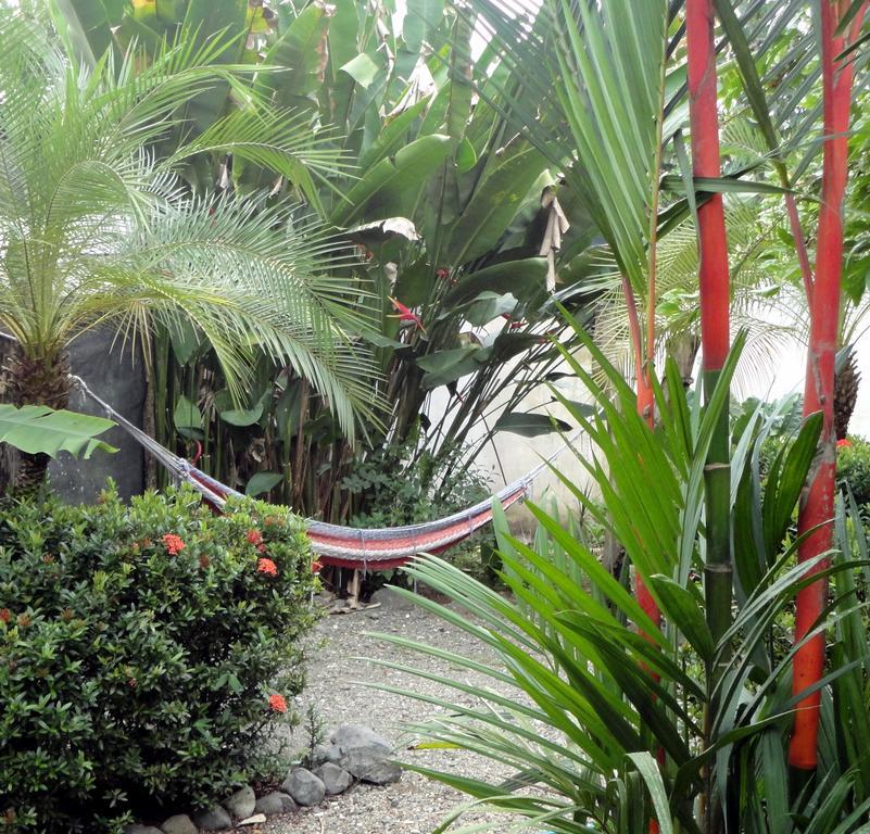 فندق Puerto Jiménezفي  Cabinas Tropicales المظهر الخارجي الصورة