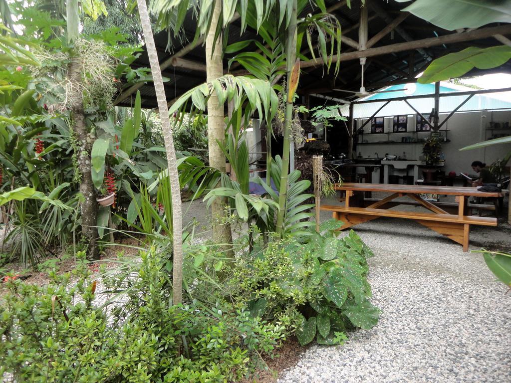 Cabinas Tropicales Puerto Jiménez الغرفة الصورة