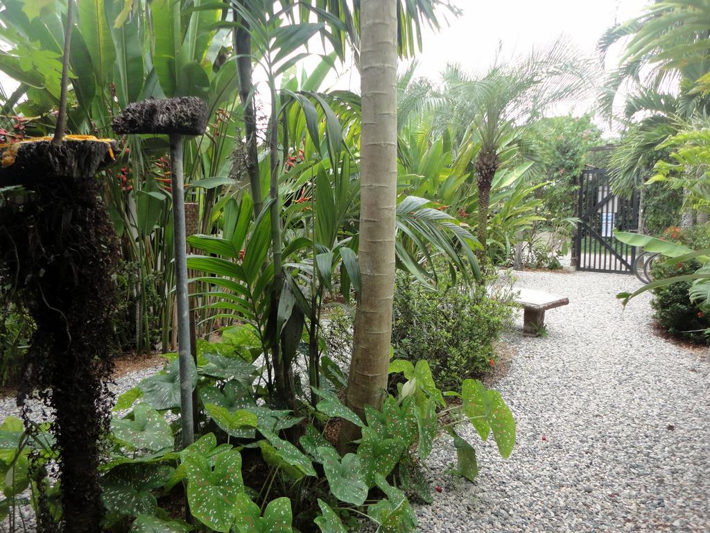 Cabinas Tropicales Puerto Jiménez المظهر الخارجي الصورة