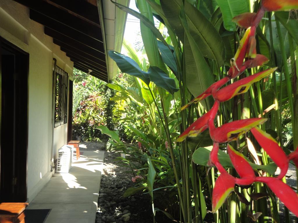 Cabinas Tropicales Puerto Jiménez الغرفة الصورة