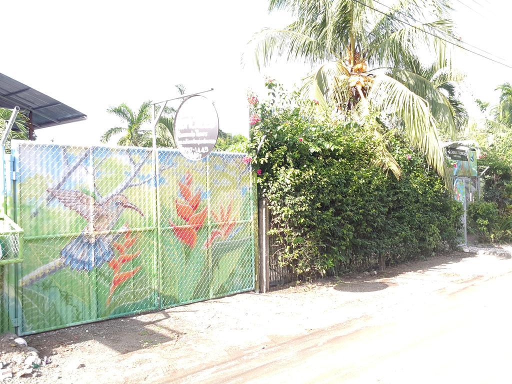 Cabinas Tropicales Puerto Jiménez المظهر الخارجي الصورة