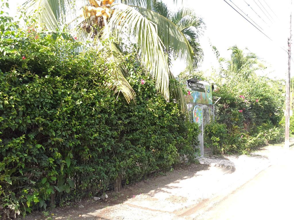 Cabinas Tropicales Puerto Jiménez المظهر الخارجي الصورة